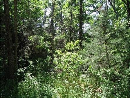4th image of 1523 County Road 263