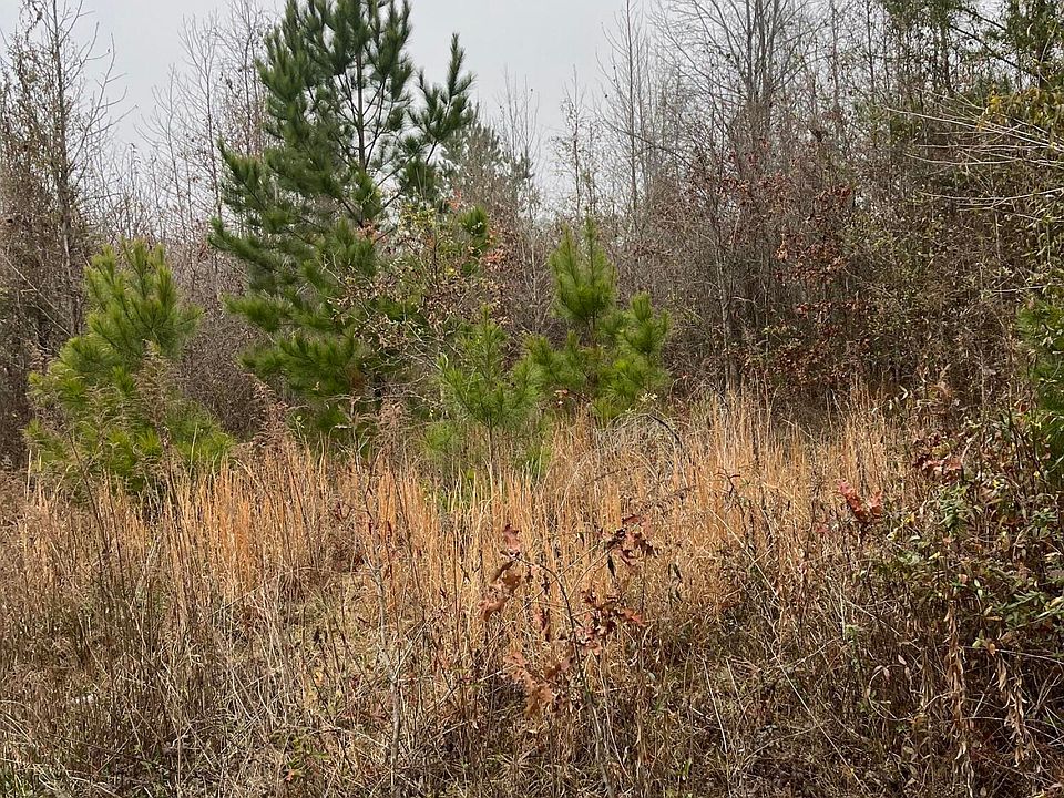 2nd image of Coventry Rd