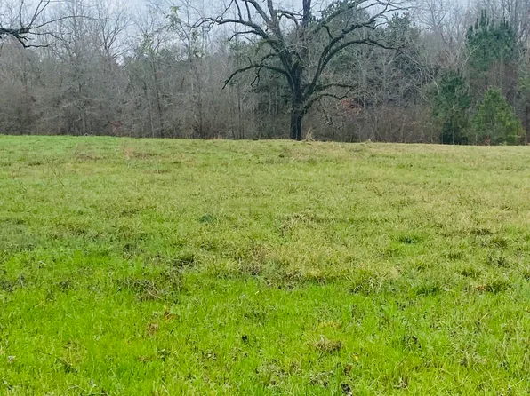 408 North St, Union, MS 39365