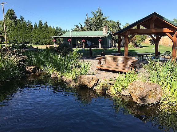 Pond filled w Koi