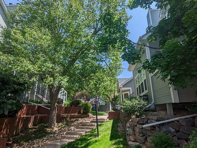 Beautiful large trees throughout the neighborhood
