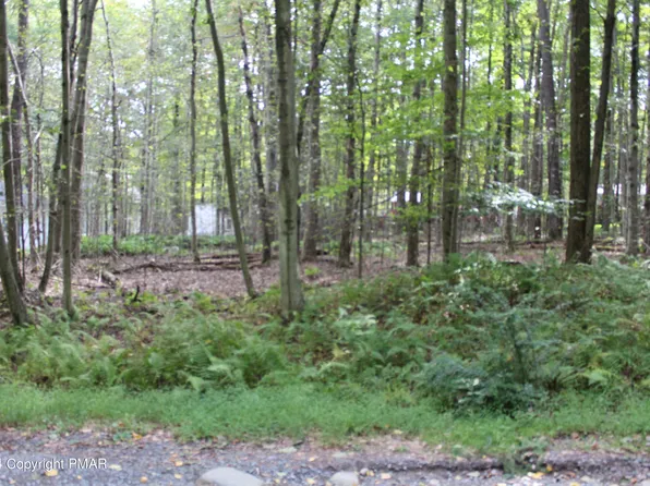 Muskwink Dr1, Pocono Lake, PA 18347