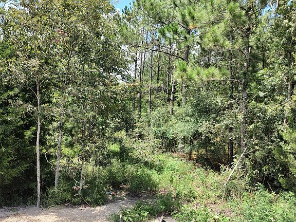 4th image of 0 NW Highway 340