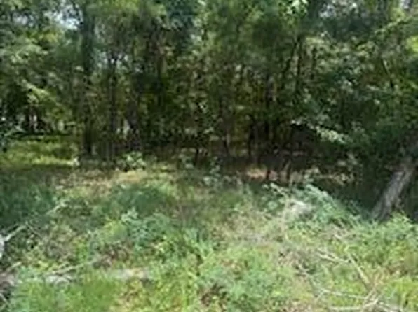 1446 Litzler Dr, Manning, SC 29102