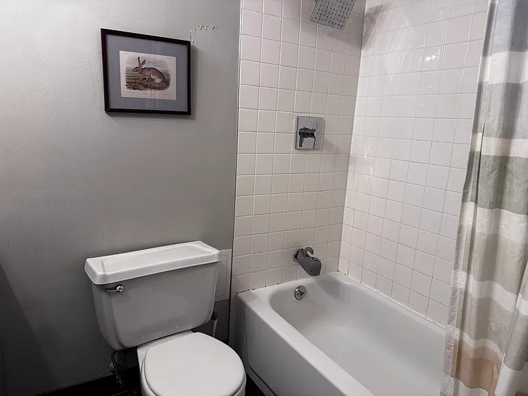 2100 N Lincoln Park W #9EN — Photo 11