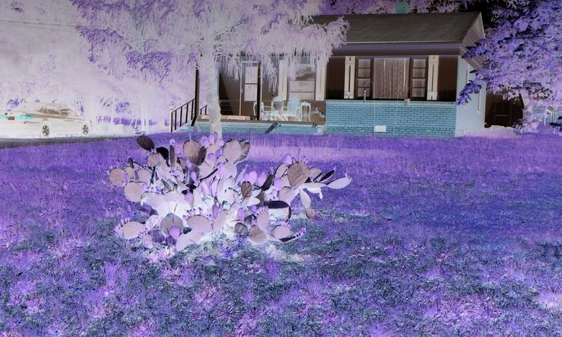Green Spring Dr, Garner — Photo 1