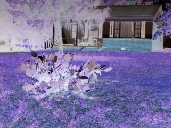 (undisclosed Address), Garner, NC 27529