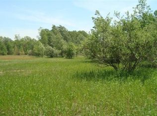 S 168th Ave, Hesperia, MI 49421