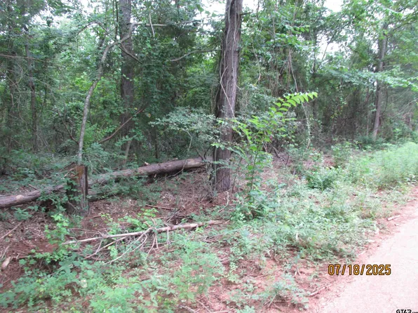 586 Crescent St, Bullard, TX 75757
