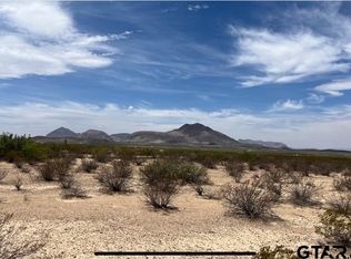 17056 Detour Ave, Terlingua, TX 79852