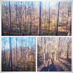 189 Gwen Ln, Sparta, TN, 38583