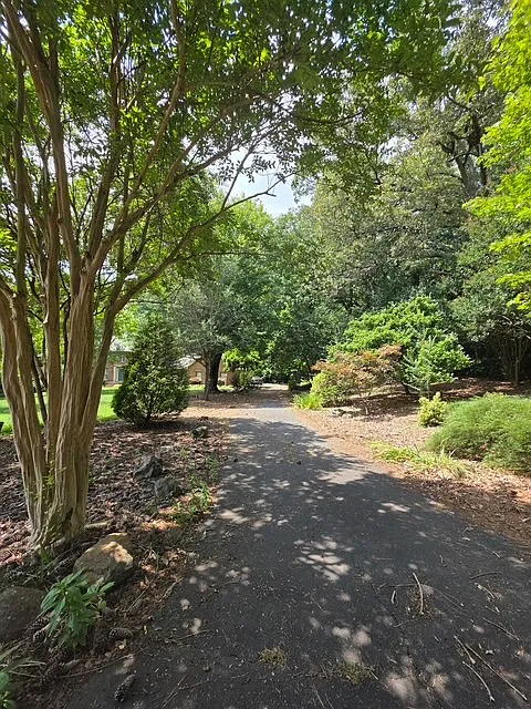 4 bed, 3.5 bath, 2929 sqft, $3,000 — Photo 3