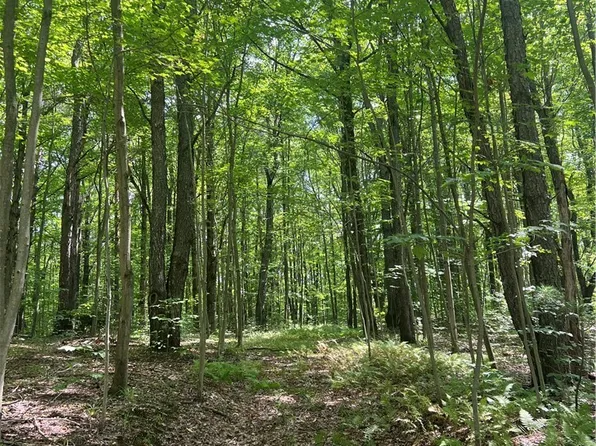 Pleasant Valley Rd #14, Delevan, NY 14042
