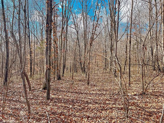 2nd image of 0 Pigpen Hollow Rd Lot 36