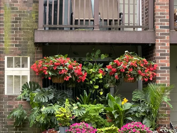 Avalon Place Apartments and Townhomes
