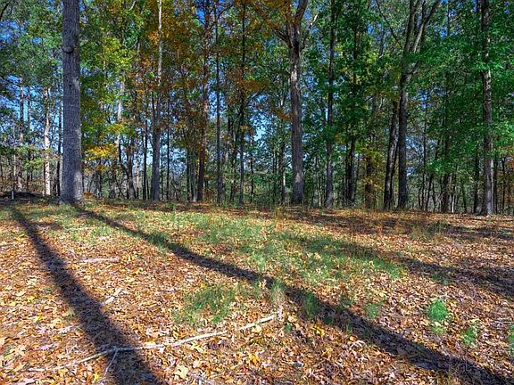 4th image of 1080 High Bluff Ln