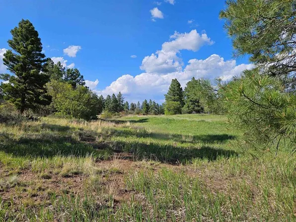 1305 Trails Boulevard, Pagosa Springs, CO 81147
