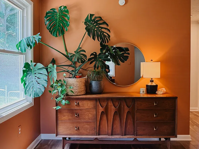House plants enliven the spaces