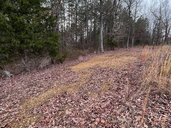 0 Natural Bridge Rd, Waynesboro, TN 38485