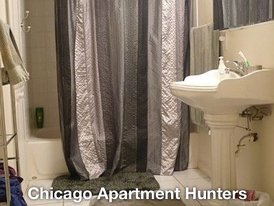 4th image of 1243 W Wrightwood Ave #1F