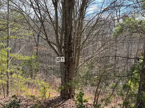 LOT 7 Jennifer Ln, Mineral Bluff, GA 30559