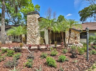 914 River Rapids Ave, Brandon, FL 33511