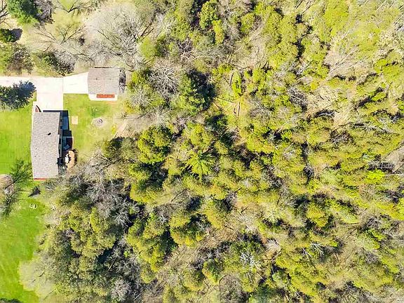 Ravine And Wooded Backdrop