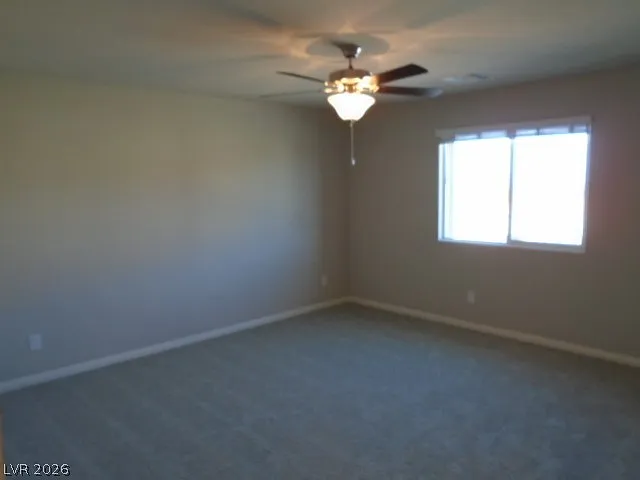5281 Acadia Leaf St — Photo 19