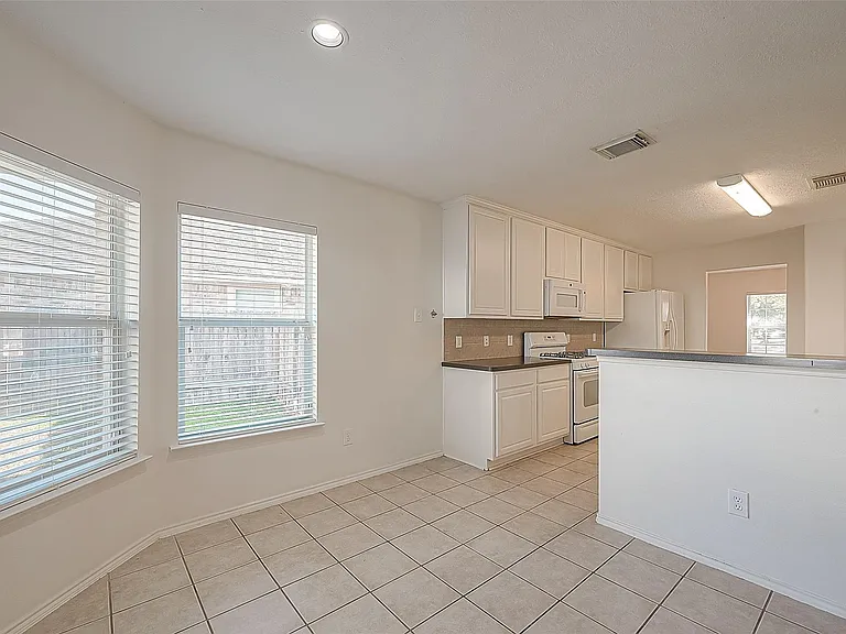 17210 Double Lilly Dr — Photo 23