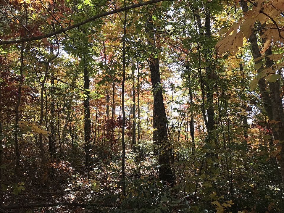 0 Wilson Ridge Rd, Wilder, TN 38589 MLS 2361829 Zillow