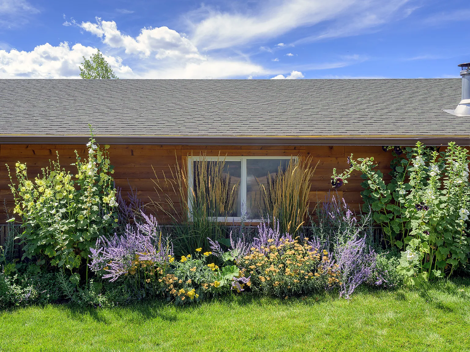 3 bed, 1774 sqft, $5,500 — Photo 3