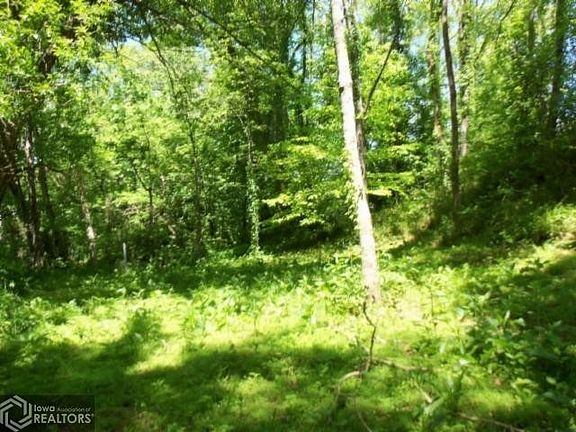 3rd image of 0 Hiawassee Ln