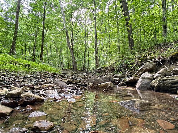 2nd image of 0 Murphy Hollow Rd