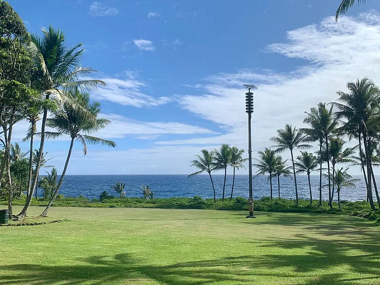 Just a short walk from the house