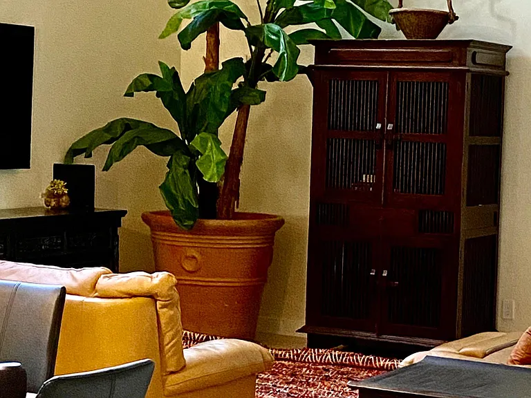 living room decor