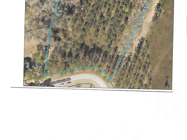 0 Pine Ridge Dr, Claxton, GA 30417