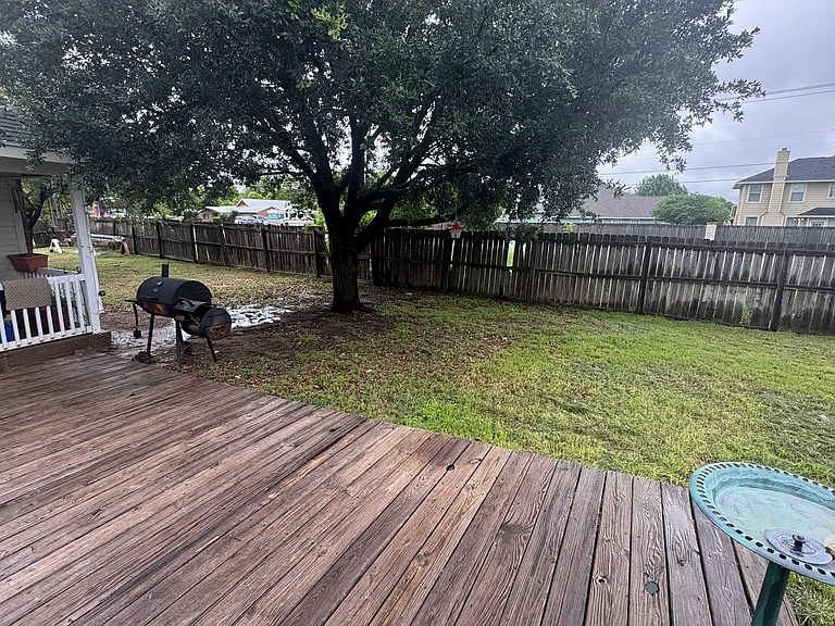 10821 Snow Pea Dr — Photo 11