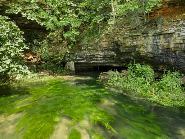 350 Devitos Loop, Harrison, AR 72601