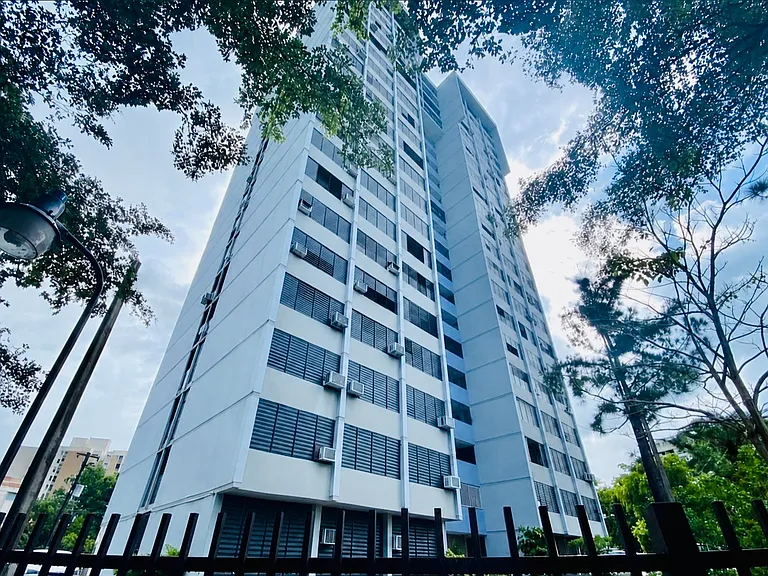 8 Avenue Luis Vigoreaux #8A — Photo 9