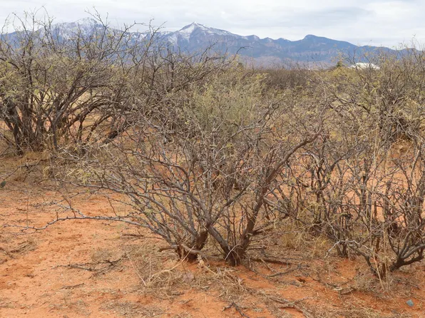 6055 S Kelly Ln, Hereford, AZ 85615