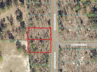 Guava Pass Ter LOT 5, Ocklawaha, FL 32179