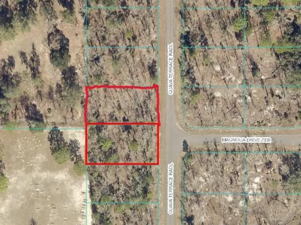 Guava Pass Ter Lot 5, Ocklawaha, FL 32179