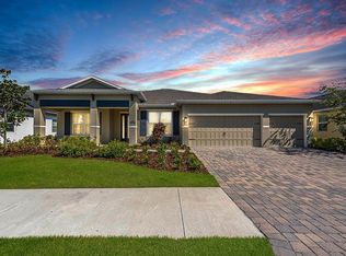 11767 Lake Lucaya Dr, Riverview, FL 33579