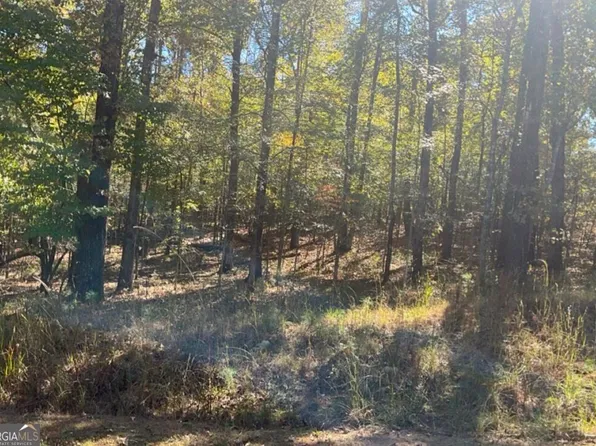 LOT 246 Sunflower Ct, Sparta, GA 31087