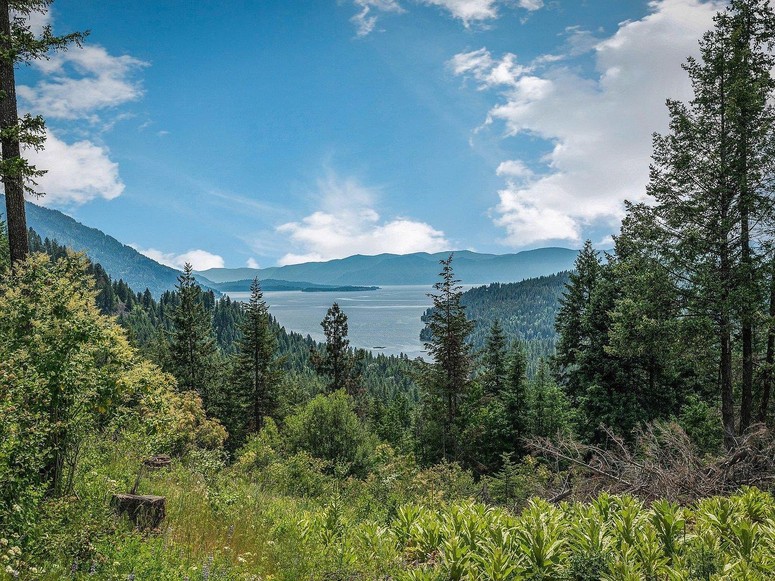 Kna D11 White Cloud, Sandpoint, ID 83864 MLS 20230921 Zillow