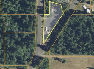 61 Heslen Rd, Carson, WA 98610