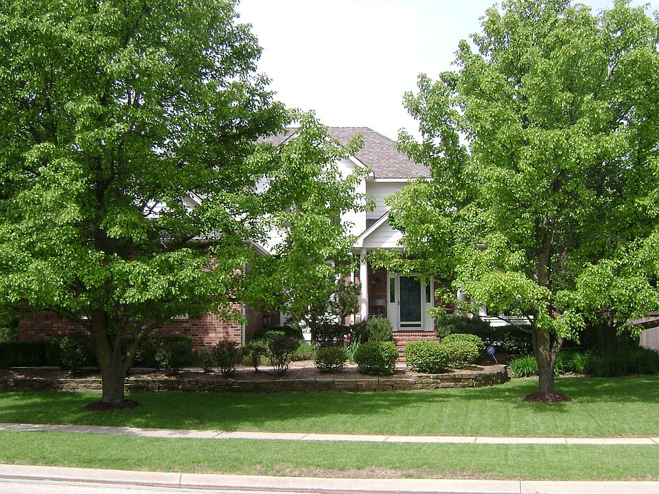 Tree-lined home