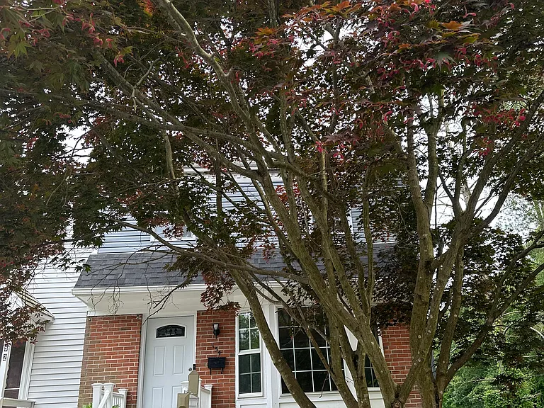 154 Old Forge Dr — Photo 8