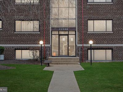 11508 Bucknell Dr APT 203, Silver Spring, MD, 20902