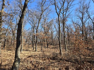 4 Acres (MOL) Aspen Drive #New TBD, Hancock, WI, 54943